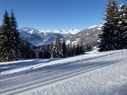 Panoramaloipe am Kristberg