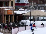 Gastronomie-Tipp The Farm