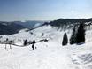 Baden-Württemberg: Größe der Skigebiete – Größe Muggenbrunn