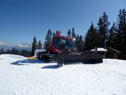 Pistengerät im Wartestand
