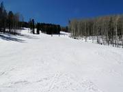 Abfahrt am Arrowhead Mountain