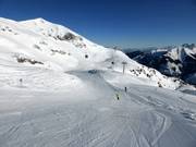Leichte Pisten an der Gipfelbahn (mit etwas steileren Passagen)
