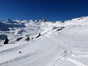 Loipe Panüöl-Fursch