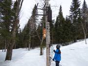 Erlebnispiste für Kinder