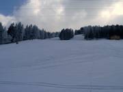 Blick auf die Abfahrt Plancerts von der Talstation
