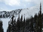 Schwere Tiefschneepisten The Cliff