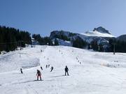 Leichte Piste an der Sesselbahn Rossstelle in Mellau