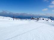 Leichte Piste Wintergarden