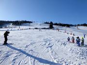 Übungsgelände in Zieleniec