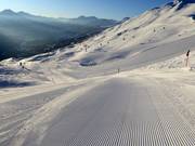 Start in den Skitag in Arosa Lenzerheide