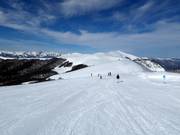 Leichte Piste Nr. 1 vom Vrh Troglava