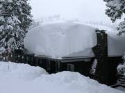 Reichlich Naturschnee in Brighton