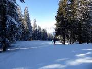 Leichte Piste Seehof