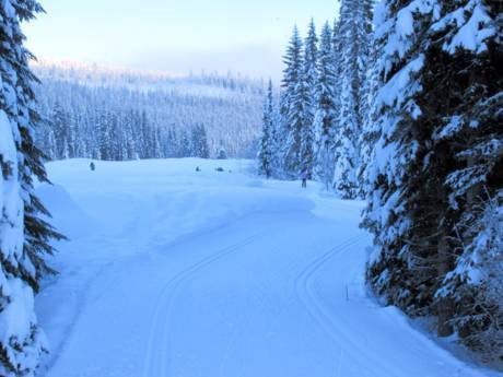 Langlauf Pacific Coast Ranges – Langlauf Sun Peaks