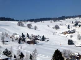 Skigebiet Schauinsland – Hofsgrund