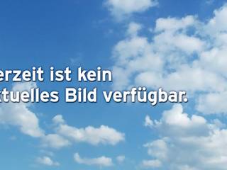 Märchenwald (1.600 m) – Wald im Pinzgau