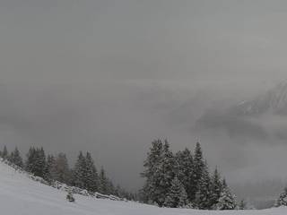 Brandnertal - Loischkopf
