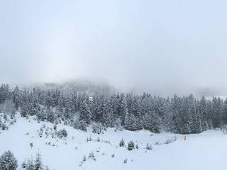 Leutasch - Katzenkopf Bergstation