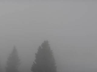 Furtwangen i. S. - Brendturm