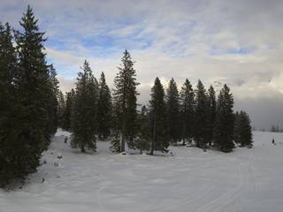 Sellamatt Lötscher Berghotel