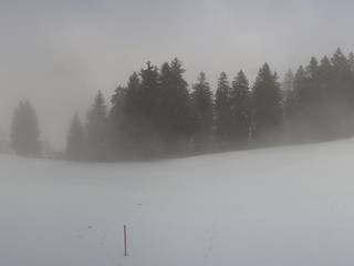 Golf Brigels - Beer SA