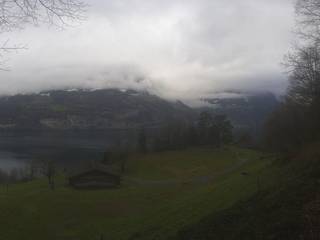 Rütli Mccardell GmbH