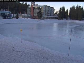 TubeTown Brewers Pond