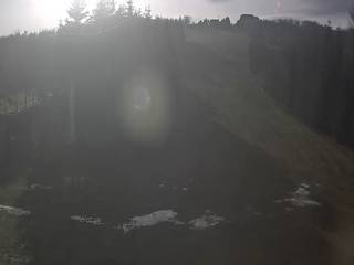 Gogołów Pod Dziedzicem - widok na stok