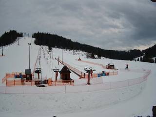 Koziniec SKI