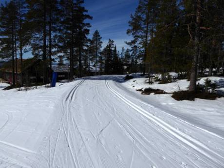 Langlauf Schweden – Langlauf Idre Fjäll