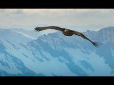 Video Kitzsteinhorn/Maiskogel – Kaprun