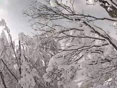 Video Kamui Ski Links