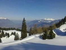 Video Martinaux