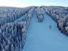 Video Viehberg – Sandl