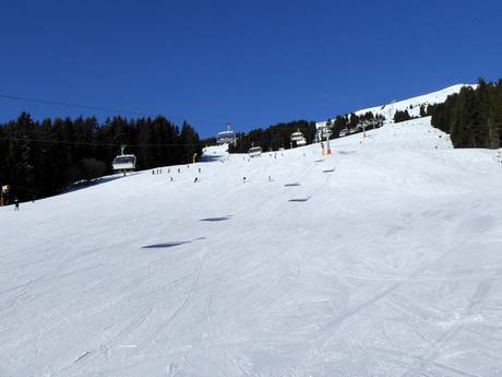 Pistenangebot weltweit – Pistenangebot Saalbach Hinterglemm Leogang Fieberbrunn (Skicircus)