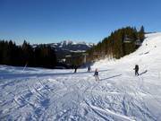 Leichte Piste Autobahn mit Sender Express