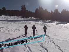 Video Port del Comte