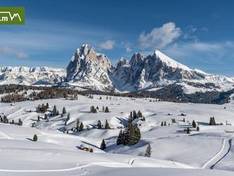 Video Seiser Alm (Alpe di Siusi)