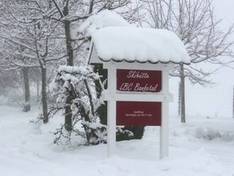 Video Birkenhecke – Rückershausen